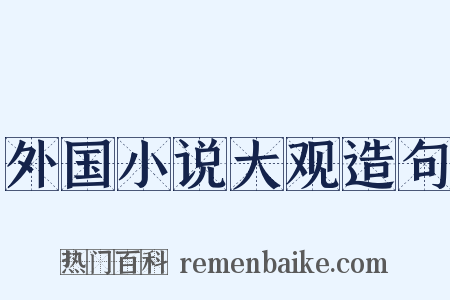 外国小说大观造句是什么意思的图片
